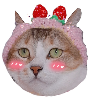 CEO Maymay says that you're valid ♡