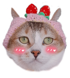 CEO Maymay loves u and hopes u feel better soon✧